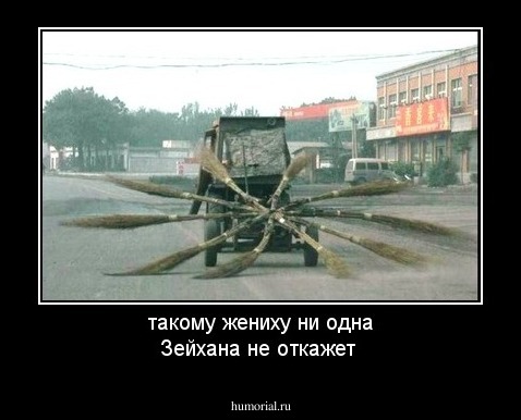 такому жениху ни одна  Зейхана не откажет