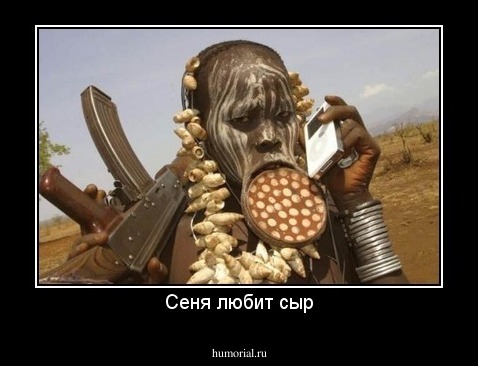 Сеня любит сыр