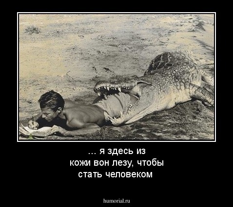 ...  я здесь из кожи вон лезу, чтобы стать человеком