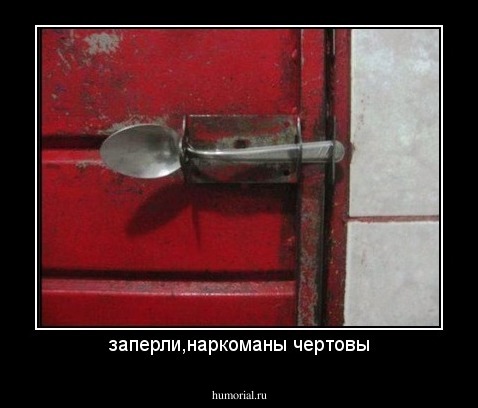 заперли,наркоманы чертовы