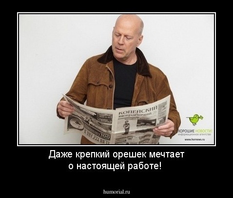Даже крепкий орешек мечтает о настоящей работе!