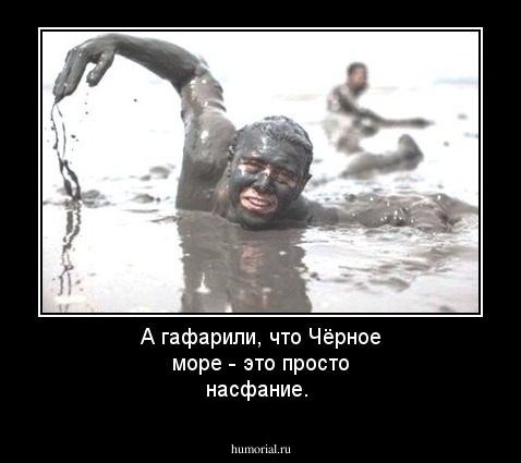 А гафарили, что Чёрное море - это просто насфание. 