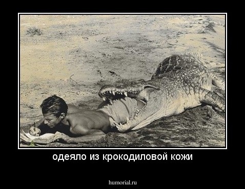 одеяло из крокодиловой кожи