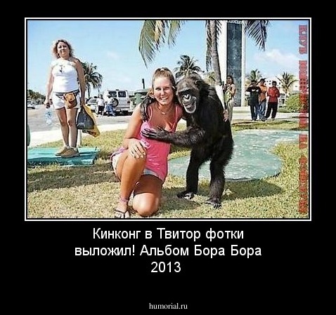 Кинконг в Твитор фотки выложил! Альбом Бора Бора 2013