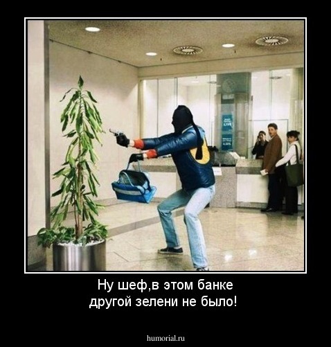 Ну шеф,в этом банке другой зелени не было!