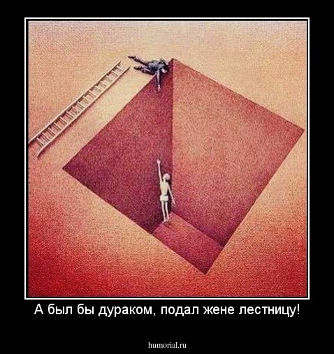 А был бы дураком, подал жене лестницу!