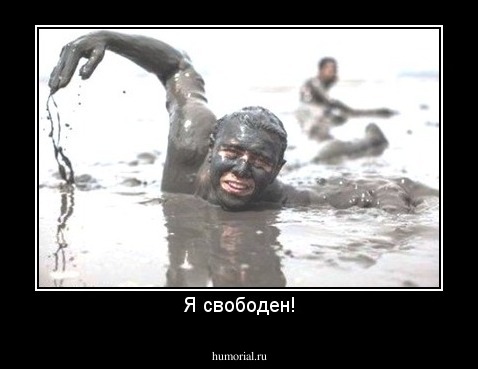 Я свободен!