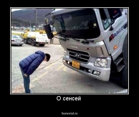 О сенсей 