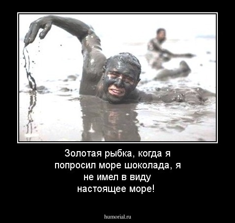 Золотая рыбка, когда я попросил море шоколада, я не имел в виду настоящее море!