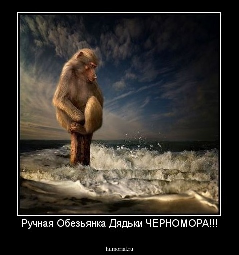 Ручная Обезьянка Дядьки ЧЕРНОМОРА!!!