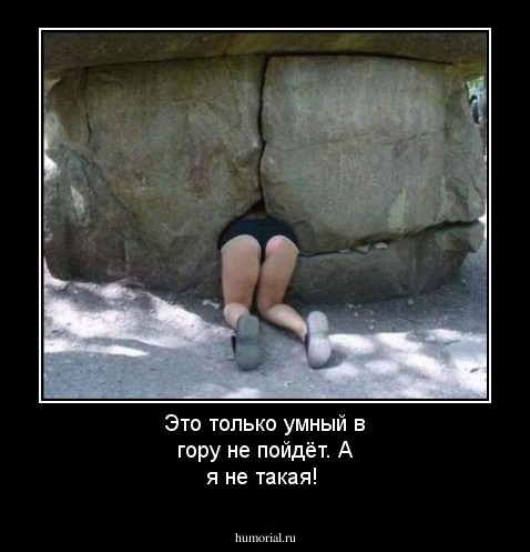 Это только умный в гору не пойдёт. А я не такая!