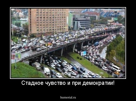 Стадное чувство и при демократии!