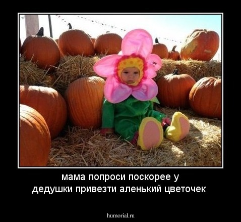 мама попроси поскорее у дедушки привезти аленький цветочек