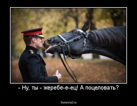 - Ну, ты - жеребе-е-ец! А поцеловать?