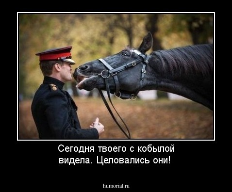 Сегодня твоего с кобылой видела. Целовались они!