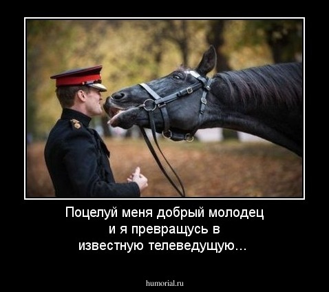 Поцелуй меня добрый молодец и я превращусь в известную телеведущую...