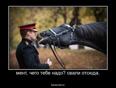 мент, чего тебе надо? свали отсюда.