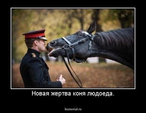 Новая жертва коня людоеда.