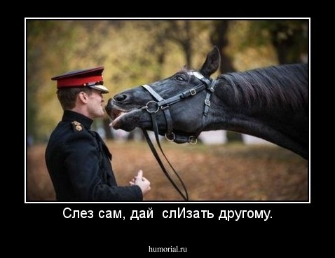 Слез сам, дай  слИзать другому.