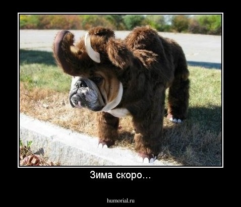 Зима скоро...