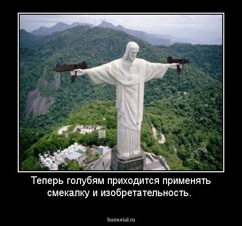  Теперь голубям  приходится применять смекалку и изобретательность.