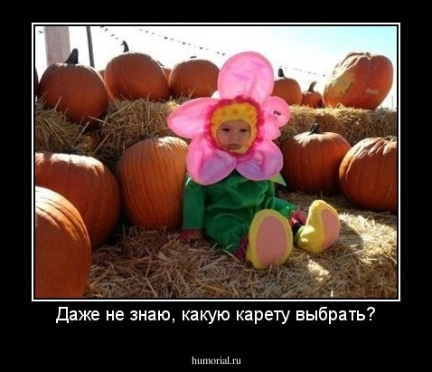 Даже не знаю, какую карету выбрать?
