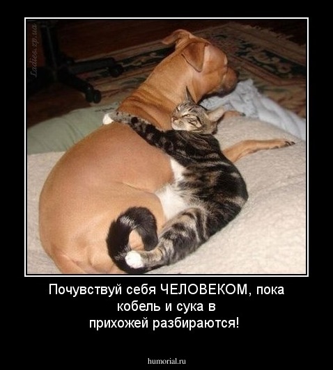 Почувствуй себя ЧЕЛОВЕКОМ, пока кобель и сука в прихожей разбираются!