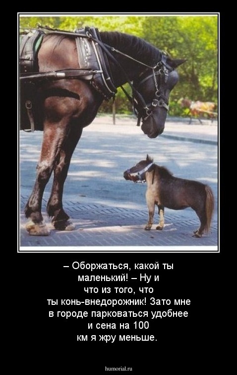 – Оборжаться, какой ты маленький!
– Ну и что из того, что ты конь-внедорожник! Зато мне в городе парковаться удобнее и сена на 100 км я жру меньше. 
