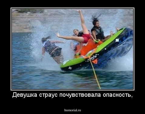 Девушка страус почувствовала опасность,