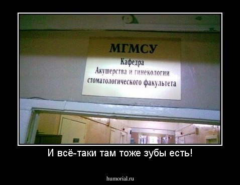 И всё-таки там тоже зубы есть!