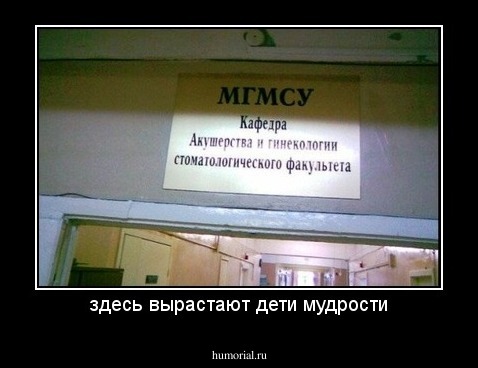 здесь вырастают дети мудрости