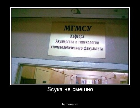 Sсука не смешно