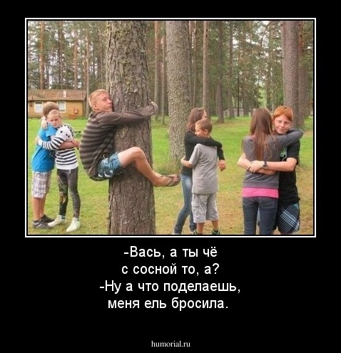 -Вась, а ты чё с сосной то, а?
-Ну а что поделаешь, меня ель бросила.