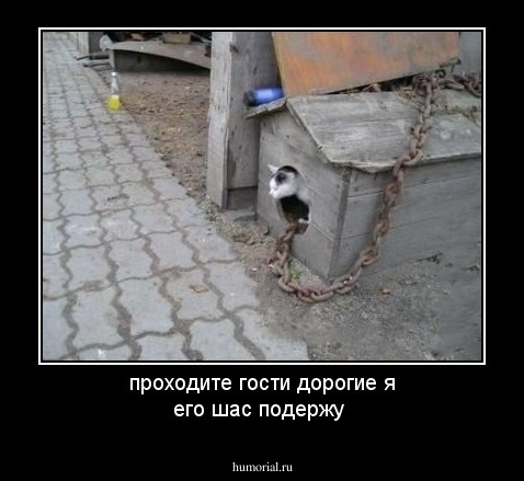 проходите гости дорогие я его шас подержу