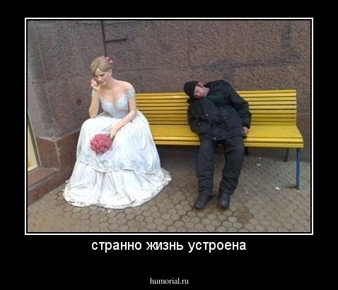 странно жизнь устроена