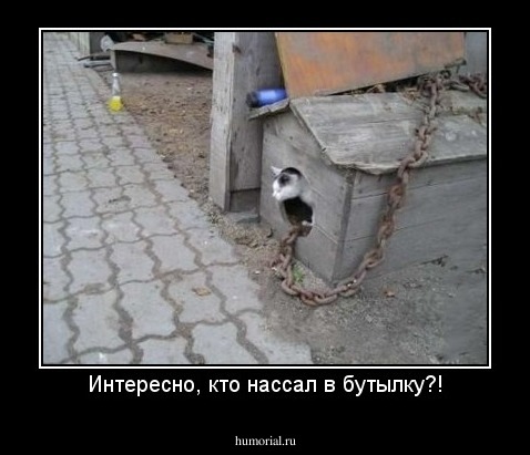 Интересно, кто нассал в бутылку?!