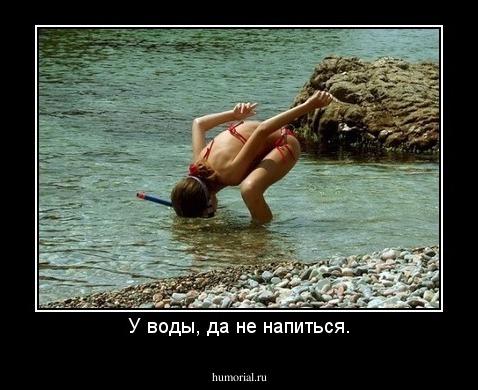 У воды, да не напиться.