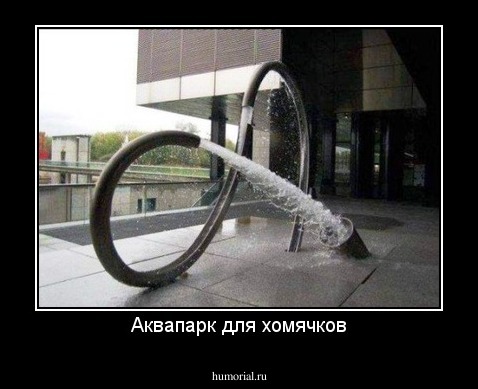 Аквапарк для хомячков