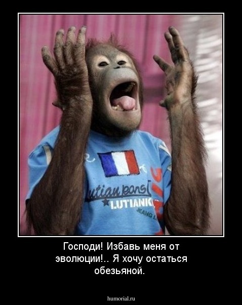 Господи! Избавь меня от эволюции!.. Я хочу остаться обезьяной.
