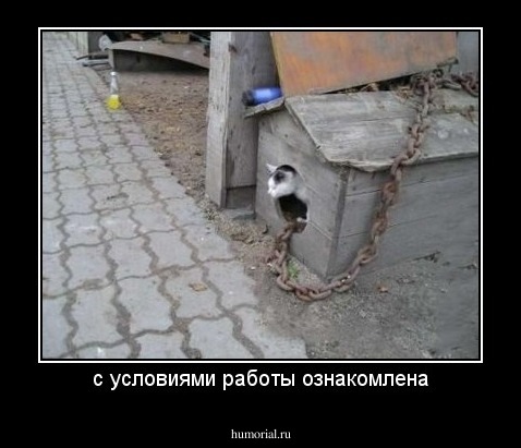 с условиями работы ознакомлена