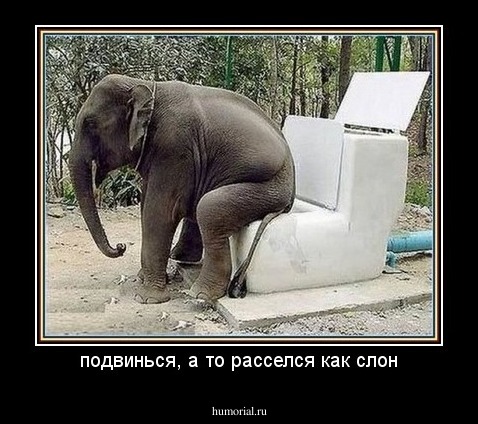 подвинься, а то расселся как слон