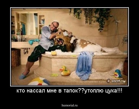 кто нассал мне в тапок??утоплю цука!!!