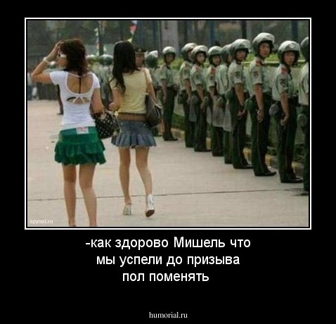 -как здорово Мишель что мы успели до призыва пол поменять