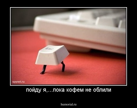 пойду я,...пока кофем не облили