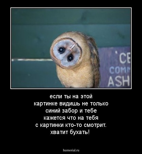 если ты на этой картинке видишь не только синий забор и тебе кажется что на тебя с картинки кто-то смотрит. хватит бухать!