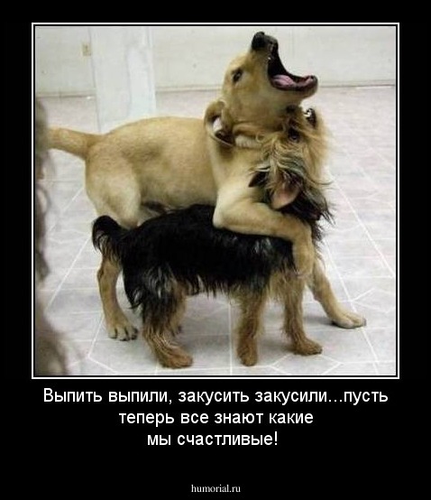 Выпить выпили, закусить закусили...пусть теперь все знают какие мы счастливые!