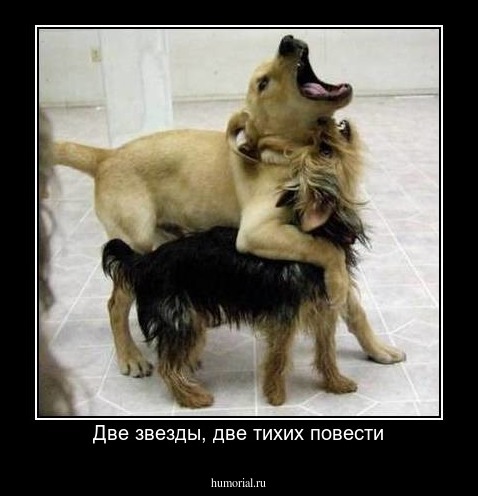 Две звезды, две тихих повести