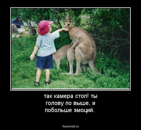 так камера стоп! ты голову по выше, и побольше эмоций. 