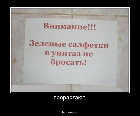 прорастают.