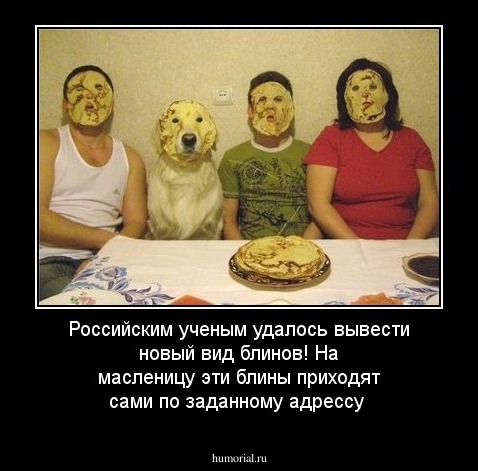 Российским ученым удалось вывести новый вид блинов! На масленицу эти блины приходят сами по заданному адрессу